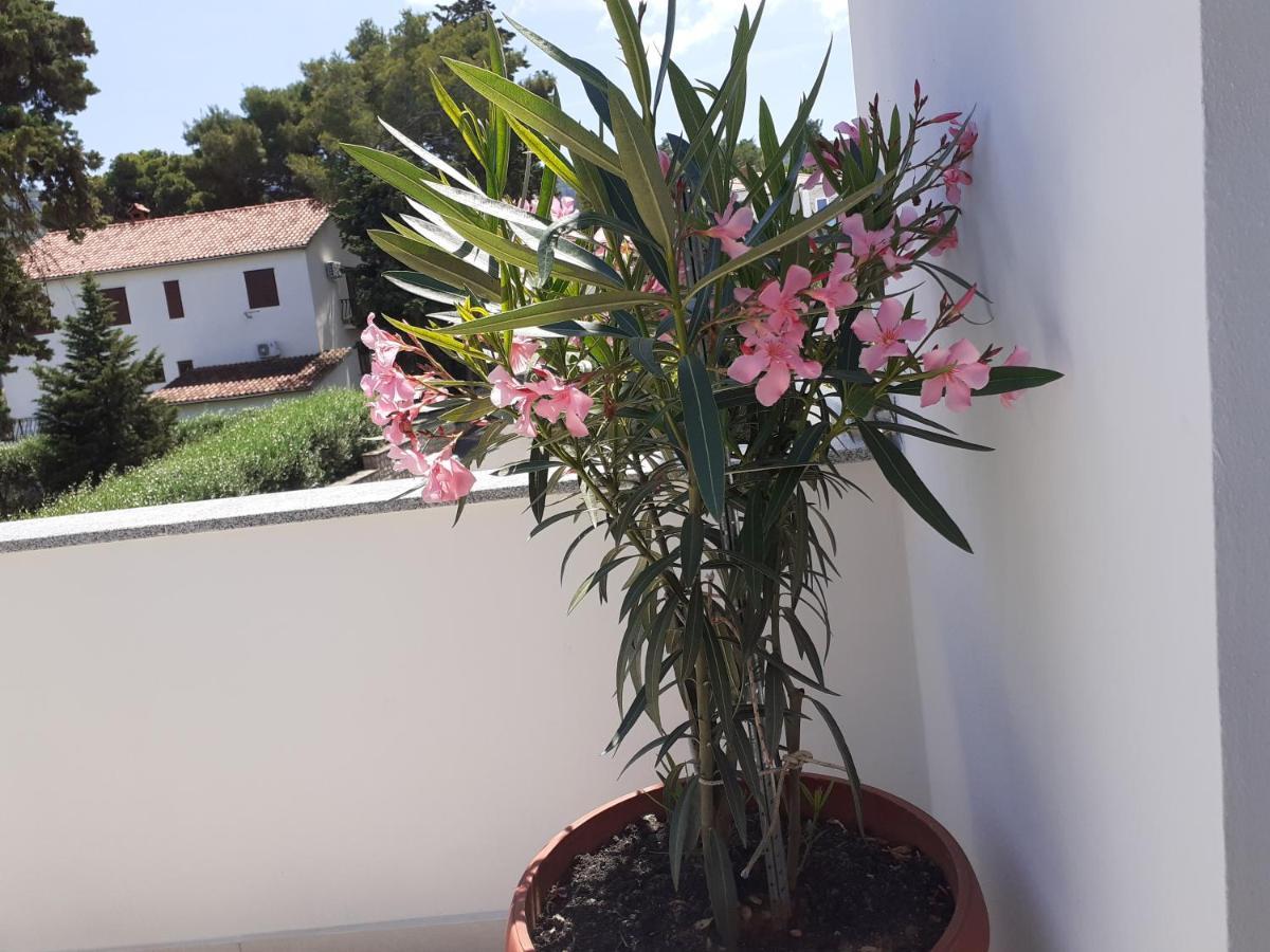 Guest house Miletic Jelsa (Hvar)